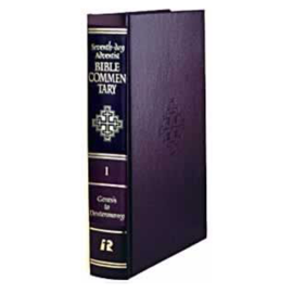BIBLE COMMENTARY 